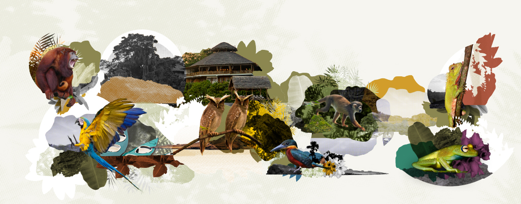 La Selva Eco Lodge