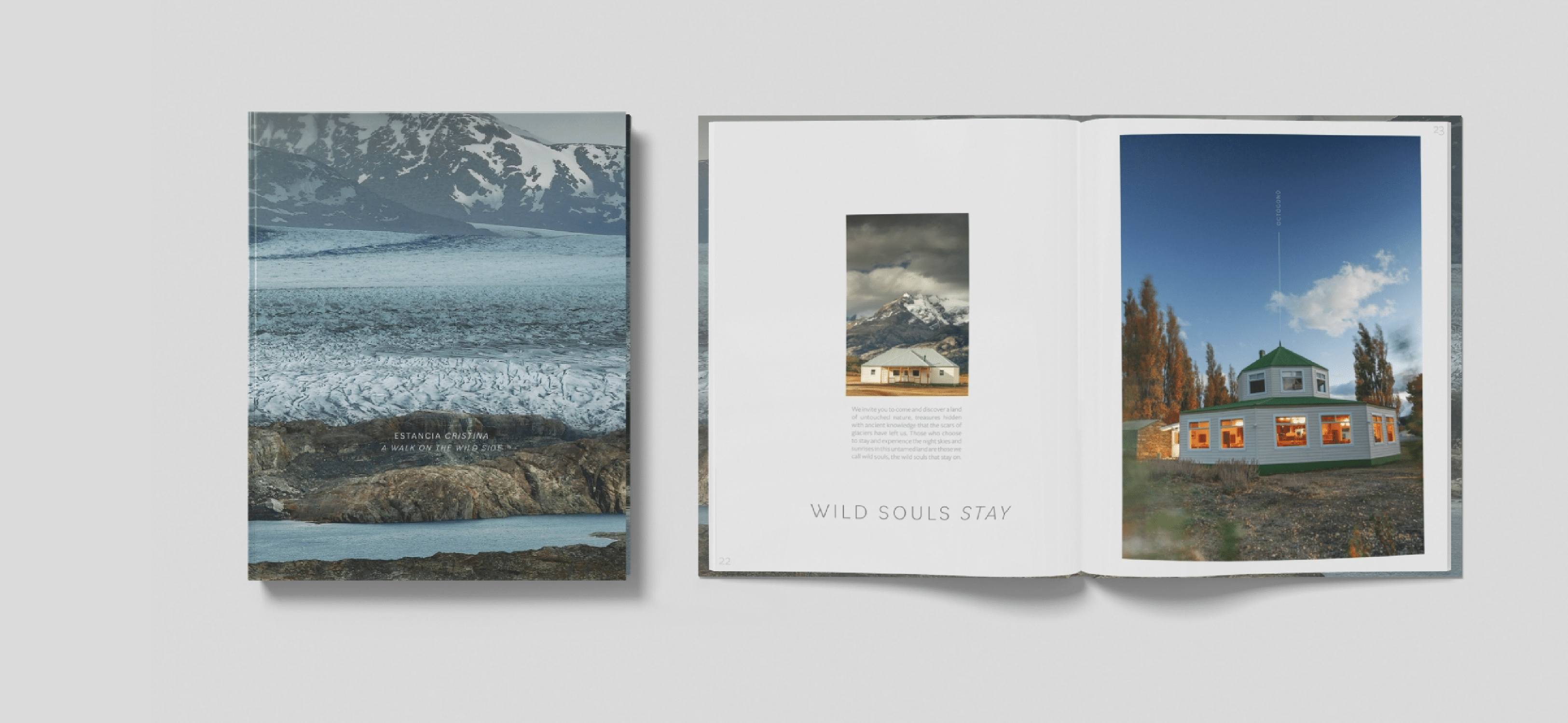 Why We Write These Books